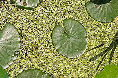 《消逝的光芒2》XSX最高1944P、PS5最高1800P